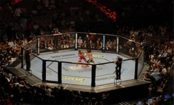 Thumbnail image for ufc.jpg