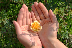 flower in hands