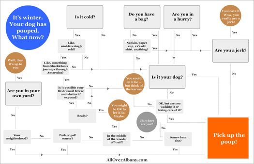 pick up dog poop flow chart