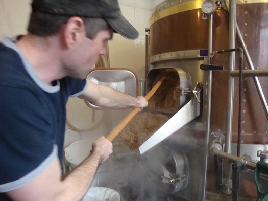 chatham. shoveling the mash.