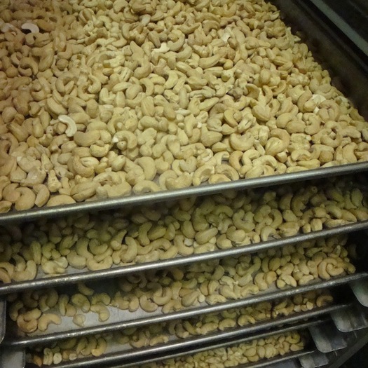 tierra cashews