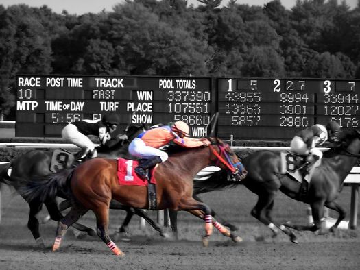 horses running at Saratoga