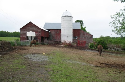 Eight Mile Creek Farm