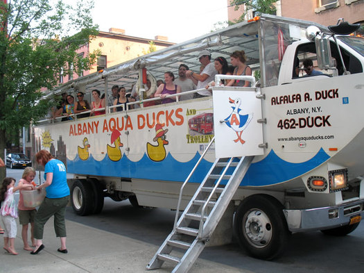 albany aqua duck wide shot