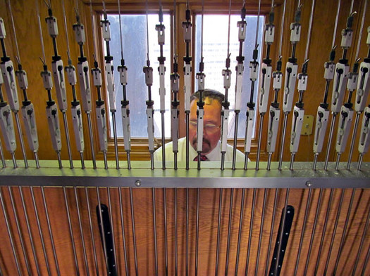 albany carillon charles semowich