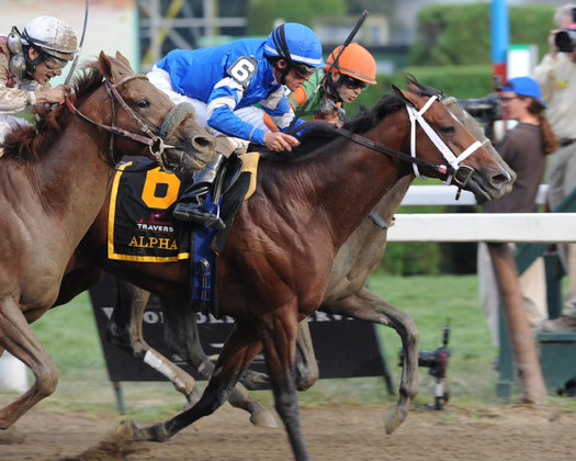 Travers 2012 tie Alpha and Golden Ticket