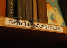 northshire bookstore manchester tiny books