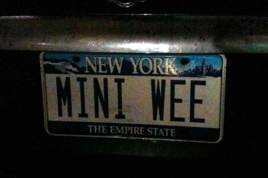 MINI_WEE