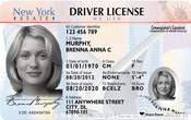 nys drivers license sample 2013
