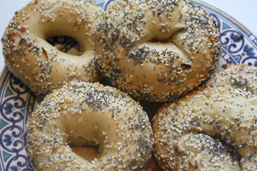 albany bagel everything bagels