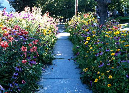 south allen flower sidewalk