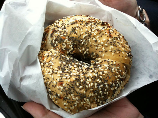 albany bagel co everything bagel