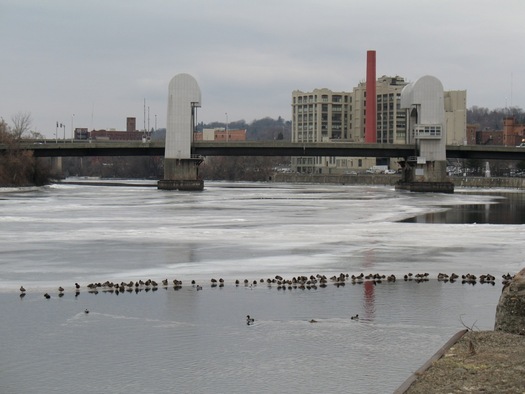 ducks on frozen Hudson River