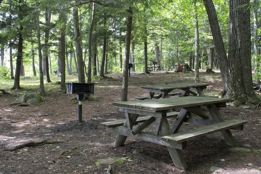 grafton lakes picnic tables