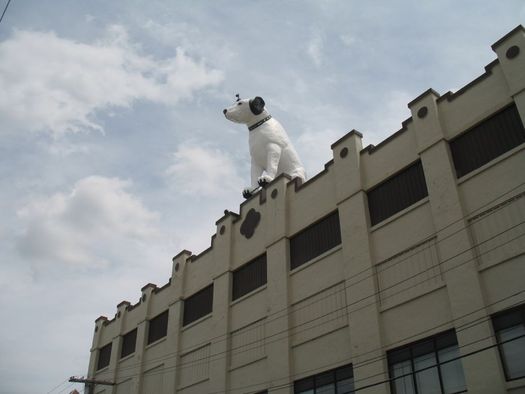 Nipper building in Albany