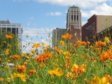 flowers Central Ave Washington Ave