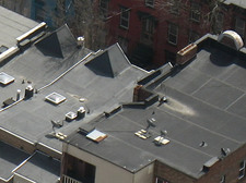 albany rowhouse roofs