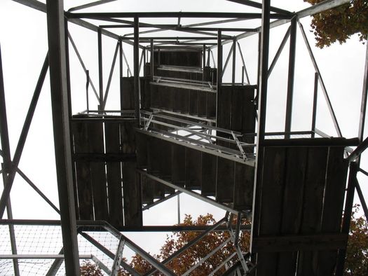 Beebe Hill fire tower looking up