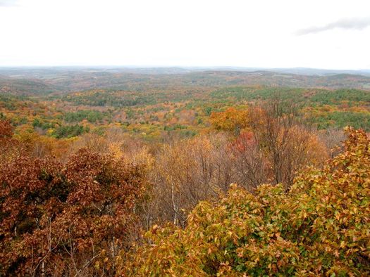 Beebe Hill fire tower view autumn