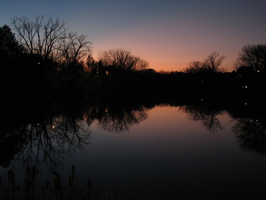 Buckingham Pond 2014-11-05 sunset reflection