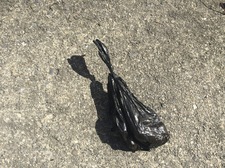 dog poop bag on sidewalk