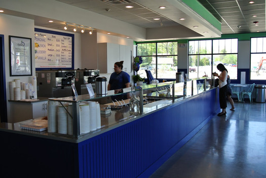 ayelada frozen yogurt latham interior 2015-May