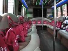 luxury mini bus interior