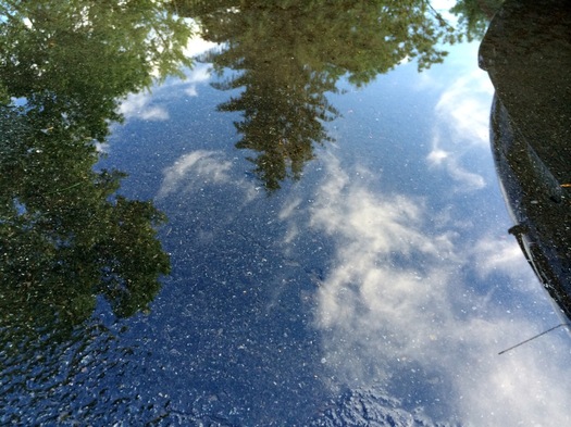 clouds trees car in puddle reflection