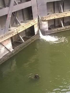 seal at lock c-1