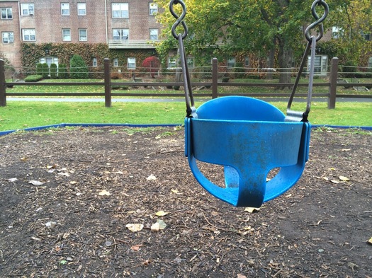 buckingham pond playground swing