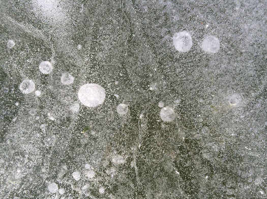 Buckingham Pond ice bubbles 2016-January