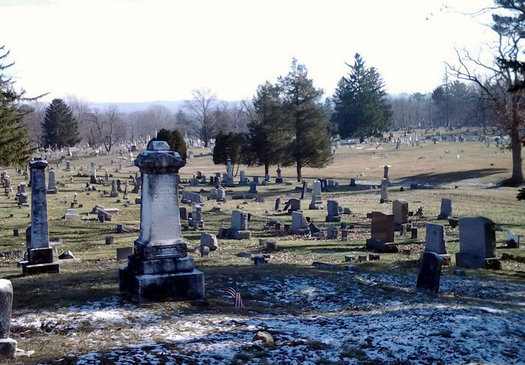 albany rural cemetery section 100