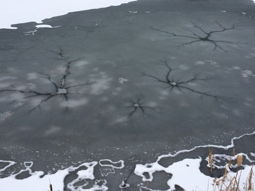 spidery patterns Buckingham Pond ice
