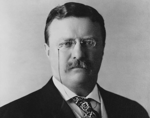 Teddy Roosevelt 1904