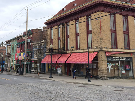 Lark Street corner with Hudson Ave