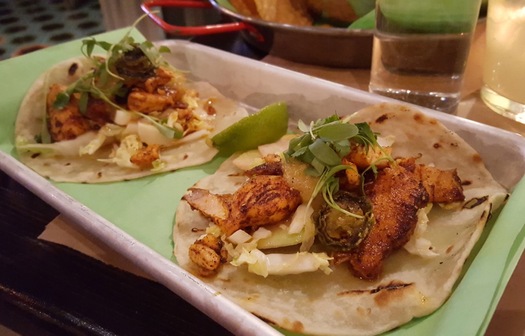 ama Cocina fish tacos