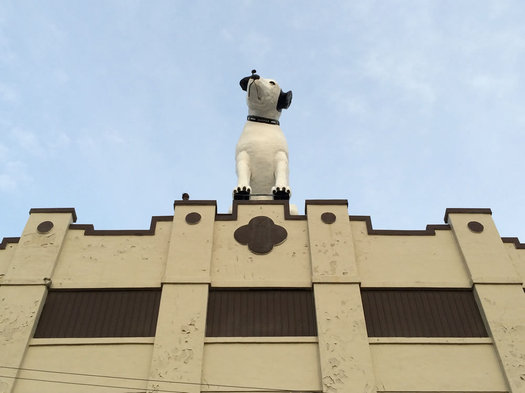 looking up at Nipper 991 Broadway 2016-April