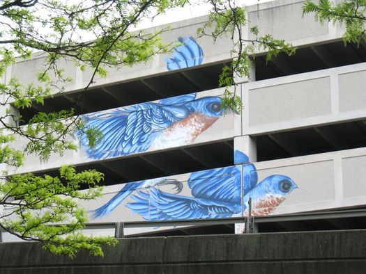 Quackenbush parking garage mural in progress