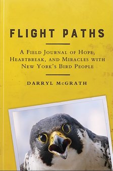 flight paths by darryl mcgrath