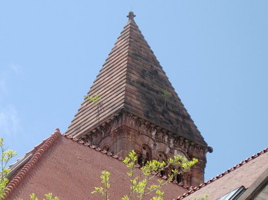 trees growing atop Albany City Hall