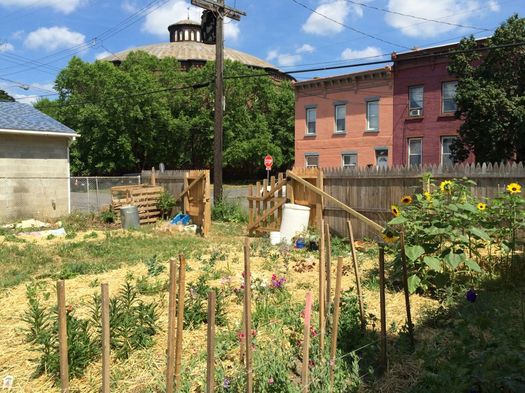 Flower Scout 2016-July garden in Troy