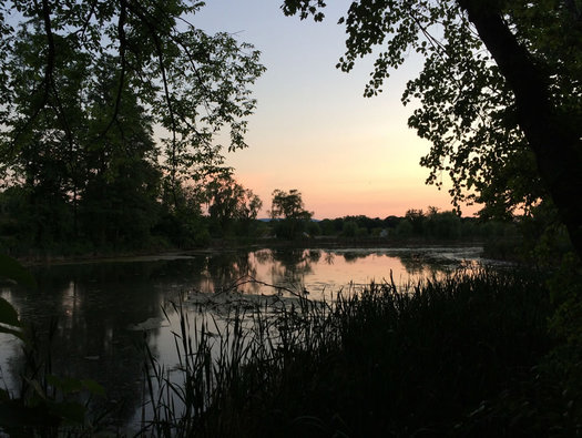 Indian Pond summer sunset