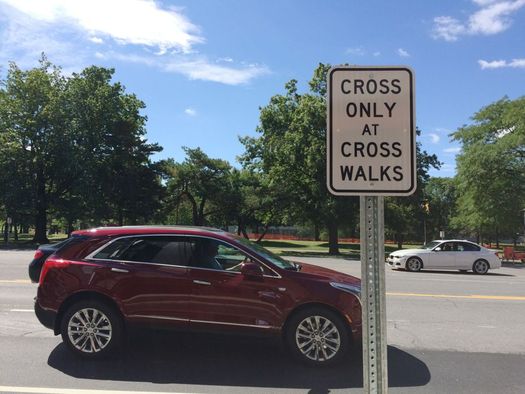 cross only at walks sign