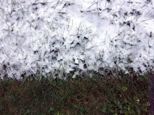October snow grass line