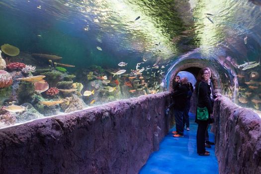 Via Aquarium tunnel tank