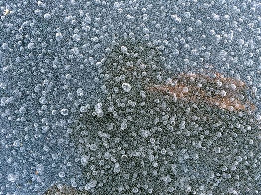 Buckingham Pond tiny bubbles in ice 2016-December-19