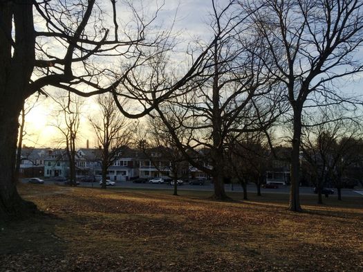 Beman Park Troy sunset 2017-January