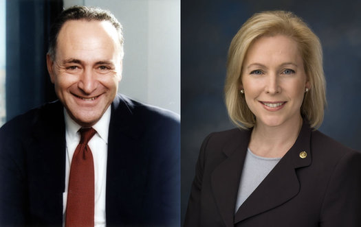 Chuck Schumer and Kirsten Gillibrand composite