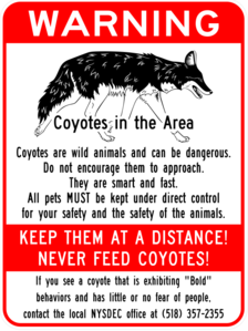 city of albany coyote warning sign