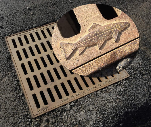 sewer grate fish